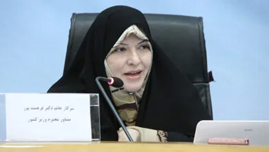 سند جامع اشتغال زنان تا پایان سال تدوین میشود سند جامع اشتغال زنان تا پایان سال تدوین میشود