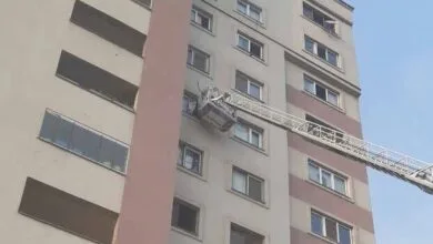 5095498.jpg