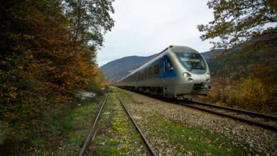 5101363.jpg