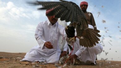 تفریح شیخ نشین‌ها با الماس کویر ایران | گردش مالی ۴۰ میلیون دلاری قاچاق هوبره