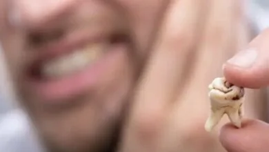 5102671.jpg