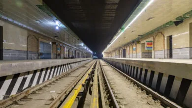 5236978.jpg