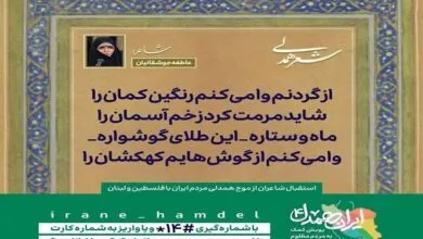 شاعره عاطفه جوشقانیان به پویش ایران همدل پیوست شاعره عاطفه جوشقانیان به پویش ایران همدل پیوست