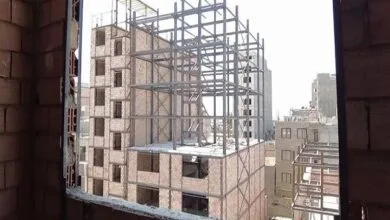 5264779.jpg