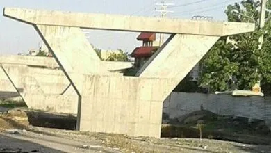 63247976.jpg