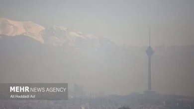 قانونی که برای زنده ماندن در اولویت نیست؛ برای مقابله با بزرگ‌ترین معضل محیط زیستی چه باید کرد؟