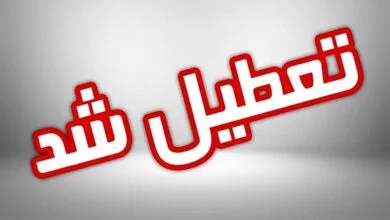 تهران چهارشنبه هم تعطیل شد/ آموزش غیرحضوری مدارس و تعطیلی دانشگاه‌ها و ادارات استان تهران
