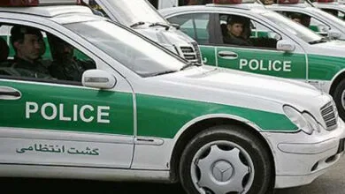 دستگیری ۲۰ سارق مسلح توسط گشت های پلیس آگاهی