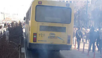 2604284.jpg