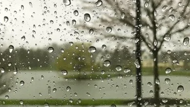 آغاز بارشهای جدید از فردا شب | ۱۸ استان برفی و بارانی میشوند آغاز بارشهای جدید از فردا شب | ۱۸ استان برفی و بارانی میشوند