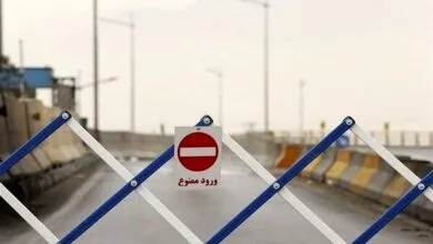 4614528.jpg