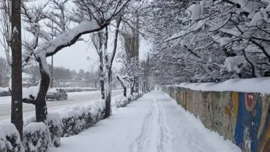 هشدار بارش سنگین برف در این مناطق | مسافران فردا به شهرهایشان برگردند