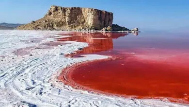 حمایت آژانس همکاری بینالمللی ژاپن از تالابهای انزلی و پریشان حمایت آژانس همکاری بینالمللی ژاپن از تالابهای انزلی و پریشان