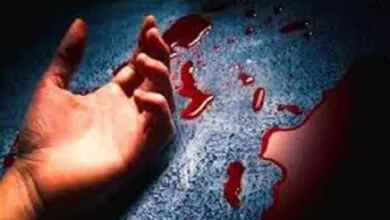۵۴ مورد قتل و سوءقصد به وکلای دادگستری از سال ۱۳۹۶ تاکنون ۵۴ مورد قتل و سوءقصد به وکلای دادگستری از سال ۱۳۹۶ تاکنون