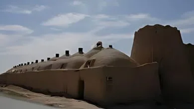 5103053.jpg