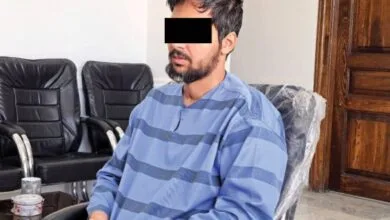 5103683.jpg