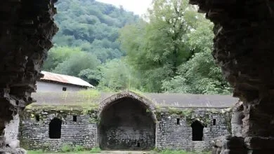 5103913.jpg