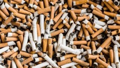 تبدیل ته‌سیگار به نانوالیاف