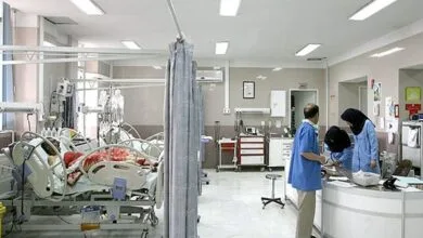 5104569.jpg