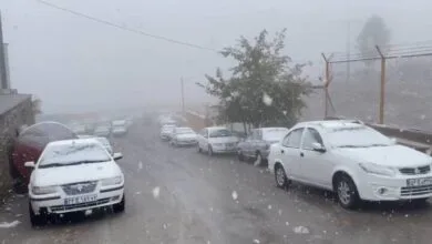 پیش بینی وزش باد بارش و برف در تهران پیش بینی وزش باد بارش و برف در تهران
