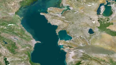 5107508.jpg