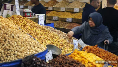 خرید سهسوته برای طولانیترین شب سال خرید سهسوته برای طولانیترین شب سال