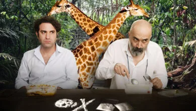با زرافه ها صبحانه نخورید با زرافه ها صبحانه نخورید