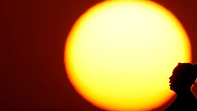 5113970.jpg