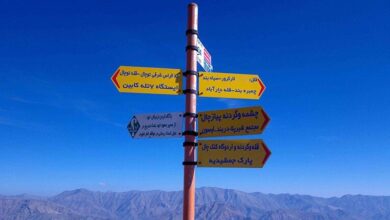 قله محبوب پژوهشگران طب سنتی