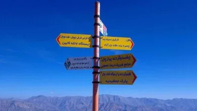 قله محبوب پژوهشگران طب سنتی