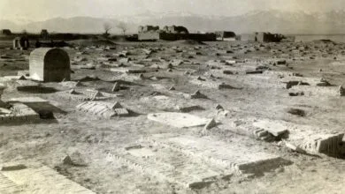 5115808.jpg