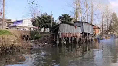 5117408.jpg
