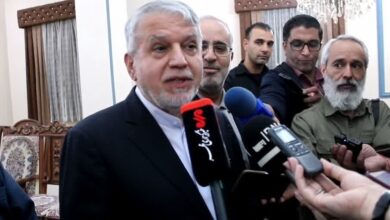 تاکید صالحی‌امیری بر ضرورت شایسته‌سالاری و کارآمدی در جامعه