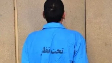 5244420.jpg