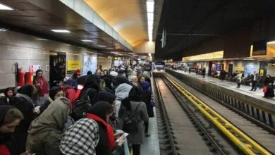 5275089.jpg