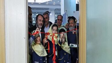 مدارس تهران صاحب خانه محیط زیست میشوند مدارس تهران صاحب خانه محیط زیست میشوند