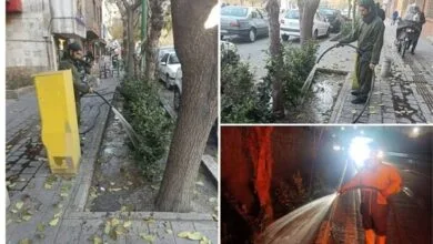 اجرای عملیات یخآب زمستانه درختان در تهران اجرای عملیات یخآب زمستانه درختان در تهران