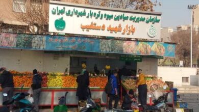 افتتاح ۵ بازار میوه و تره بار جدید در تهران