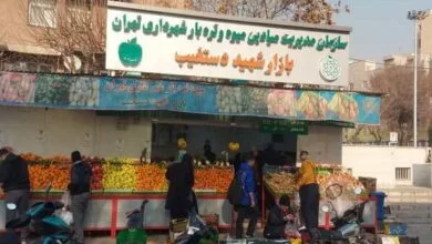 افتتاح ۵ بازار میوه و تره بار جدید در تهران افتتاح ۵ بازار میوه و تره بار جدید در تهران