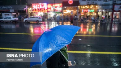 بارش برف و باران در تهران/ پیش‌بینی وزش باد شدید