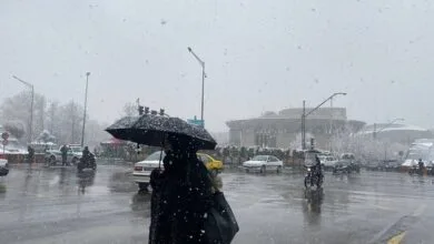بارش پراکنده برف و باران در تهران از عصر جمعه بارش پراکنده برف و باران در تهران از عصر جمعه