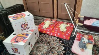 ثبت بیش از ۲۶ هزار چند قلوزایی در کشور طی هشت ماه ۱۴۰۳ ثبت بیش از ۲۶ هزار چند قلوزایی در کشور طی هشت ماه ۱۴۰۳