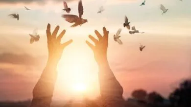 آزادی ۳۰ زندانی جرام غیر عمد به مناسبت ولادت حضرت زهرا(س) آزادی ۳۰ زندانی جرام غیر عمد به مناسبت ولادت حضرت زهرا(س)