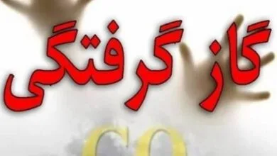 افزایش ۳۶ درصدی مصدومین ناشی از گاز گرفتگی سگ در مازندران افزایش ۳۶ درصدی مصدومین ناشی از گاز گرفتگی سگ در مازندران