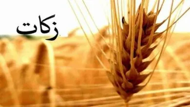 امسال ۲۴ هزار میلیارد ریال زکات در سطح کشور جمعآوری شده است امسال ۲۴ هزار میلیارد ریال زکات در سطح کشور جمعآوری شده است