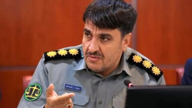 پرونده قضایی برای یک چهره ورزشی بابت نگهداری توله شیر/تکذیب ادعای تحویل توله شیر به