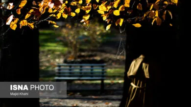 پاییز در کاخ‌های سعدآباد و نیاوران