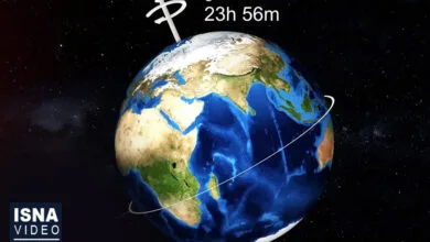 63279955.jpg