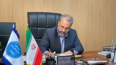 تصمیمات جدید برای جلوگیری از ورود غیر قانونی اتباع به کشور/ ممنوعیت اشتغال غیر قانونی اتباع در استان‌های ممنوعه