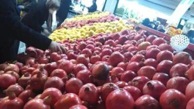 افتتاح پروژه‌های جدید شهری در منطقه ۱۰ تهران